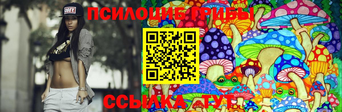 Галлюциногенные грибы Psilocybe Рыбинск
