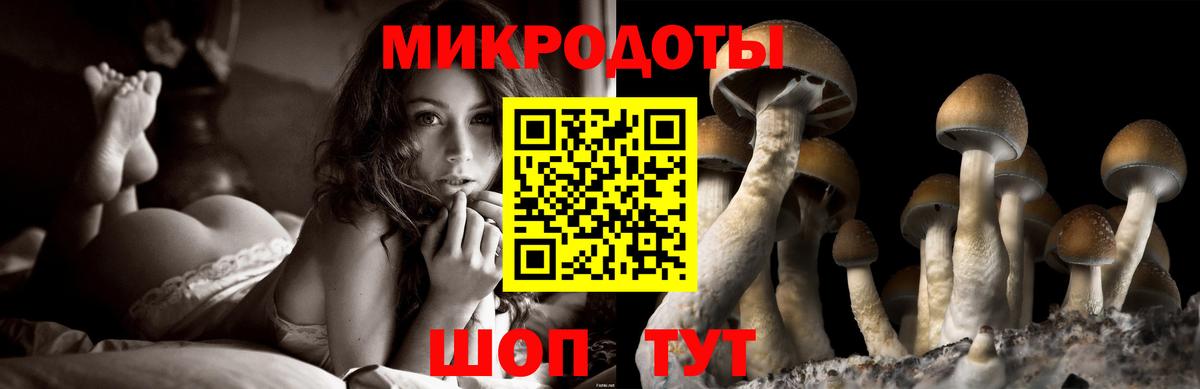 Псилоцибиновые грибы мухоморы  купить наркотик  Рыбинск  Вход с VPN 